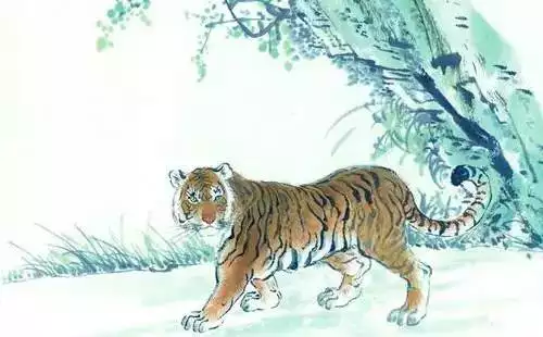 老虎屬相出生冬天好欠好：屬老虎的好欠好？