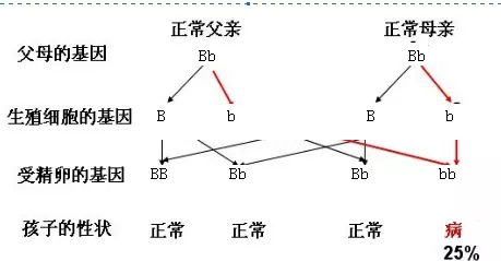 2、直系和旁系三代的婚配:婚姻我的外公和他爺爺是兄弟，這屬於三代以內的旁系血親不？