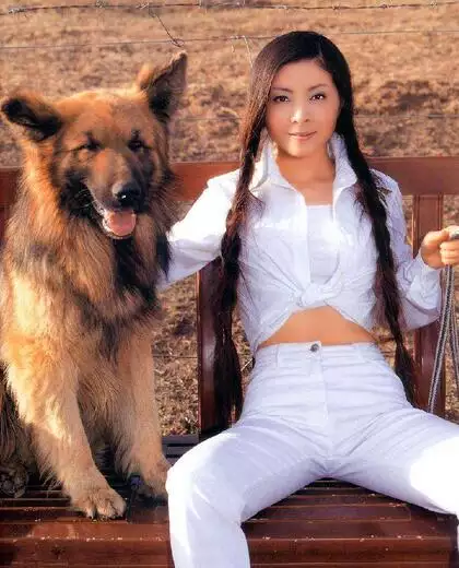 龍和狗真的不能結婚嗎：屬龍和屬狗的能婚配嗎？