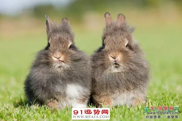 2、六九年婚配六九年如何:六九年與什麼相配