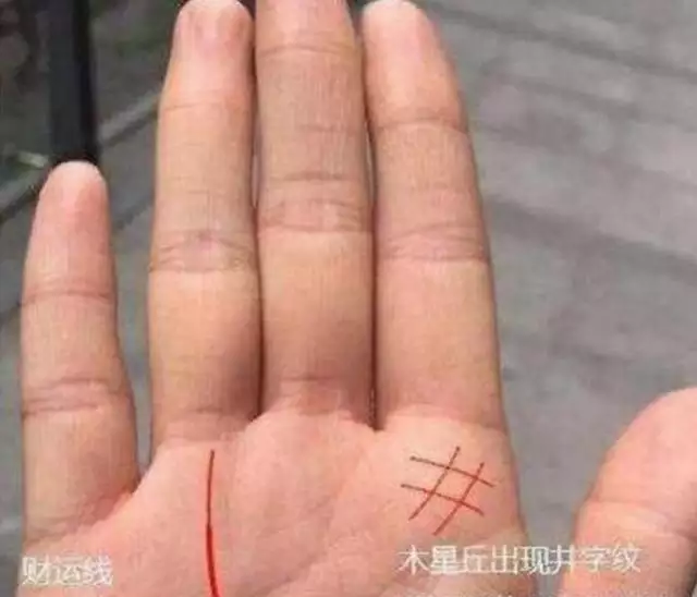 2、怎麼從手相看財運:如何看手相財運