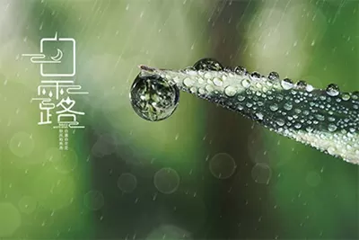 1、年農曆八月:年不生幾月虎