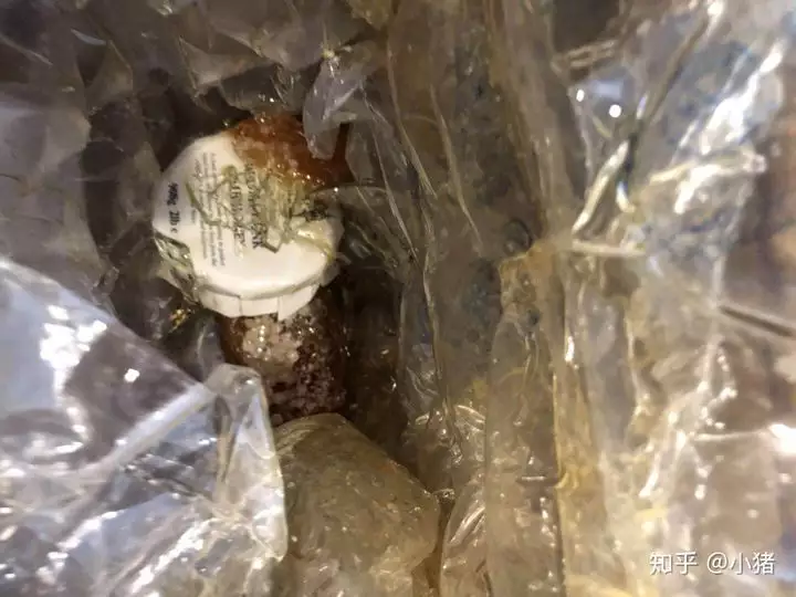 1、海帶寶轉運到國內:海帶寶有人用過嗎？轉運到國內需要多長時間？