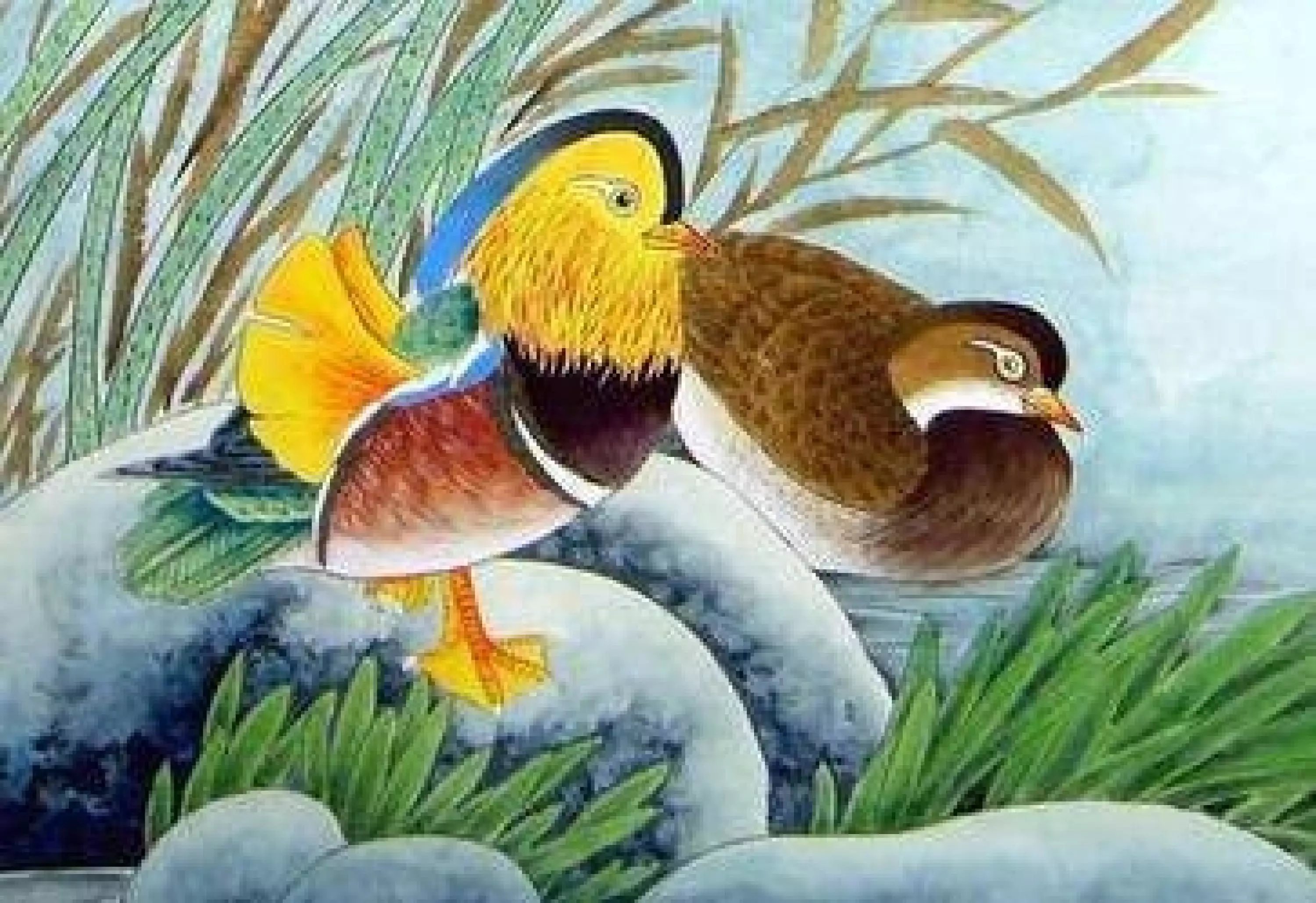 3、屬馬人與屬蛇人能婚配嗎:屬蛇的人能和屬馬的相配嗎？