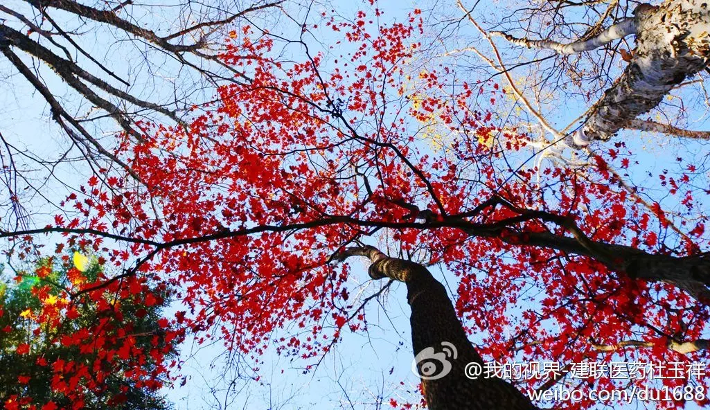一年四季苦奔波是什麼屬相：一年四季是指什麼生肖？