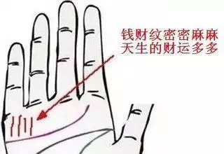 寓意招財運的名字大全女：好聽高雅又聚財的女孩名字