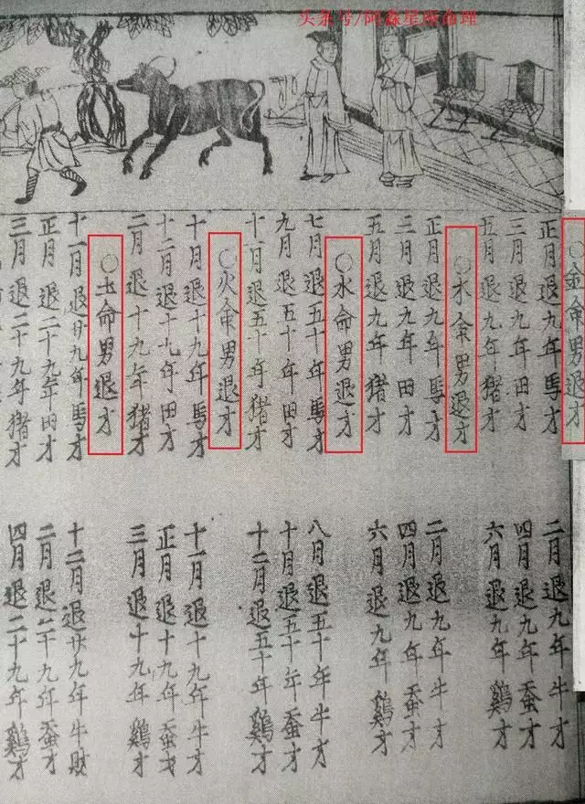年海中金命是什麼意思：84年海中金命人，請幫我算一下