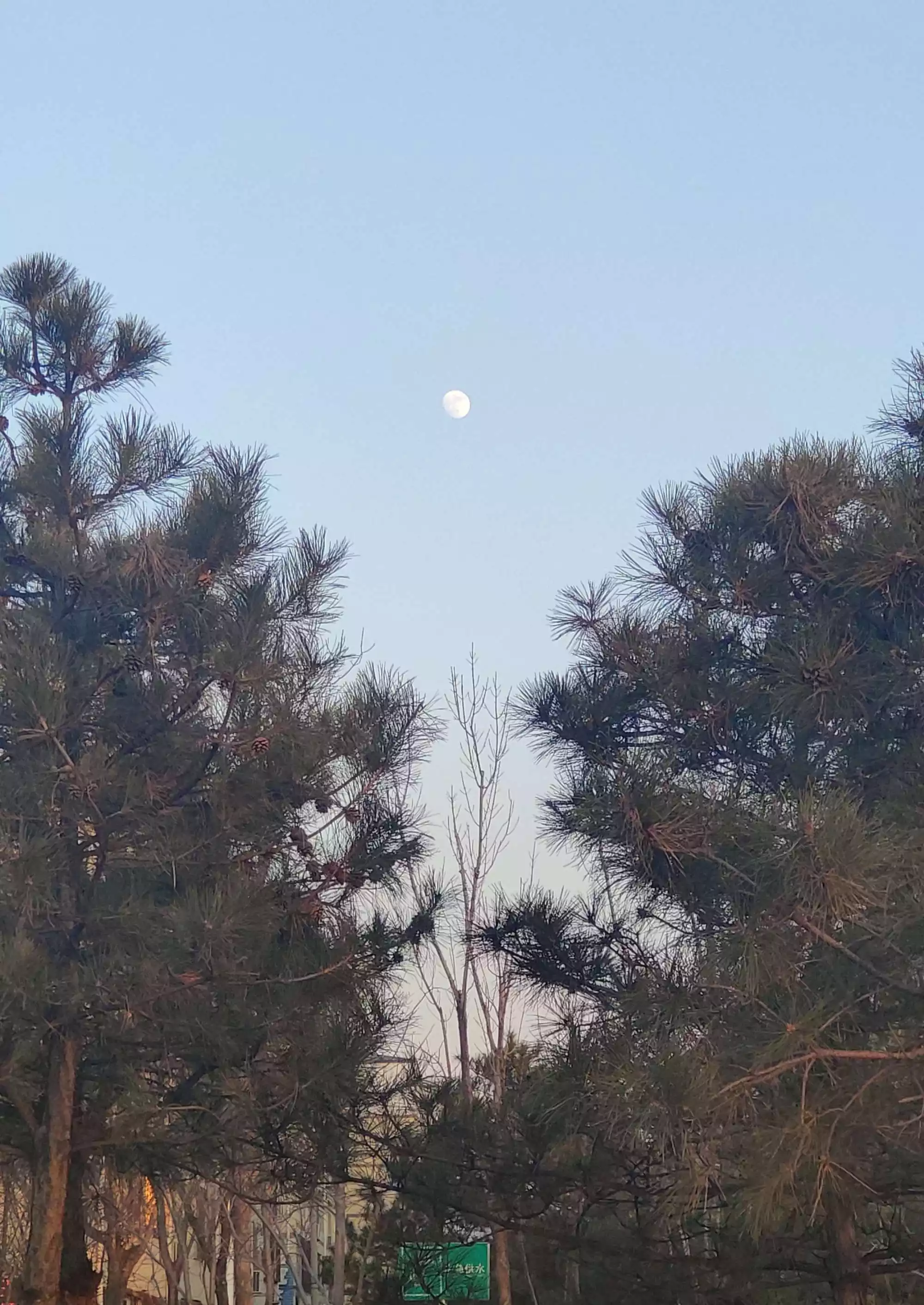 庚子年冬月二十三的屬相是什麼：年冬月二十三這天屬於十二生肖的誰人生肖