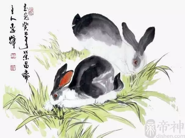 5、屬兔的貴人:生肖兔一生的貴人是誰