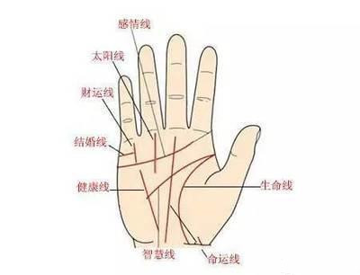 1、怎樣知道自己的命格硬不硬:我是01年8月6日出生的，屬蛇，想知道自己命硬不硬