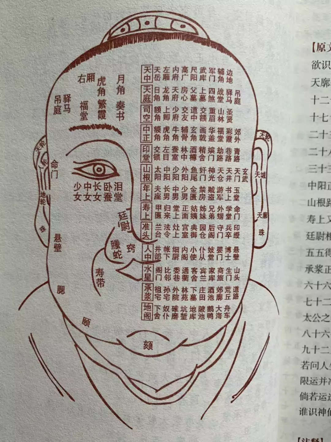 八字算命怎麼看自己有幾個小孩：測八字算命能否算出那個人有小孩