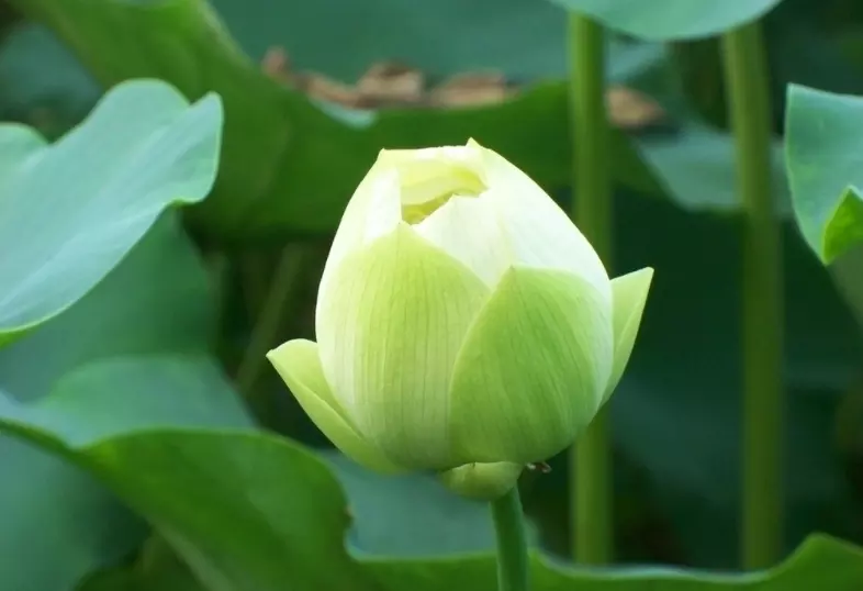 2、感情正緣是什麼:正緣是什麼？