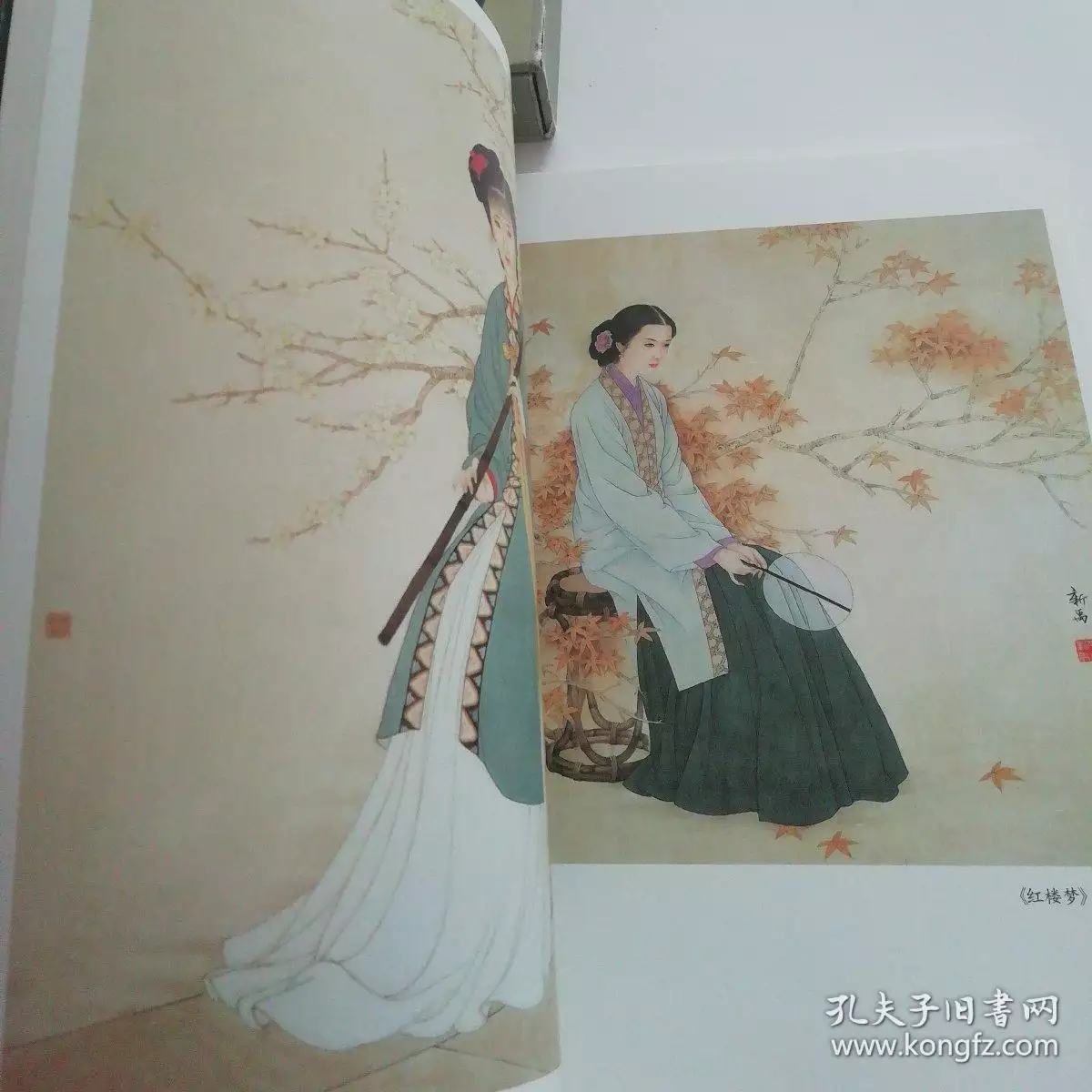 十二屬相當中飛禽走獸是幾個：飛禽走獸是哪些生肖