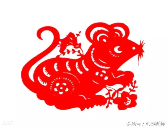 屬鼠的屬相和什麼屬性最好：屬鼠人和什麼屬相合作最好