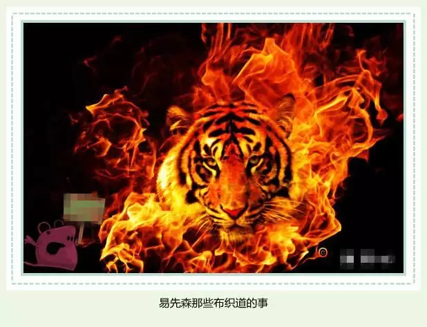 4、屬虎是幾年的:屬虎是多少年的