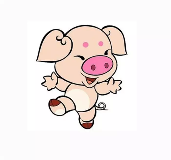 屬豬的和哪個屬相職場犯沖：年屬豬的人與什麼屬相相剋