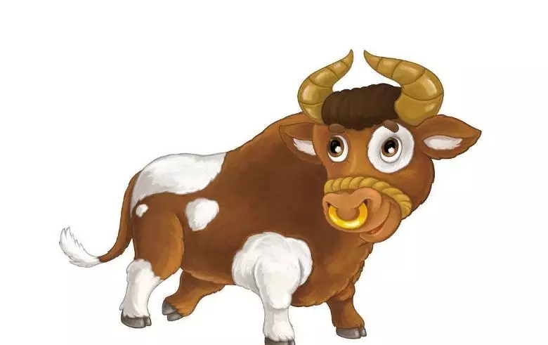 屬牛的有什麼屬相的兄弟姐妹好：屬牛與屬豬做兄妹好嗎?