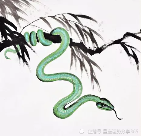 2、屬蛇的女年怎麼樣:年蛇女的財運好不好