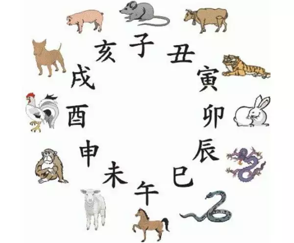 屬虎的和哪些屬相相衝：屬虎和什麼屬相相剋