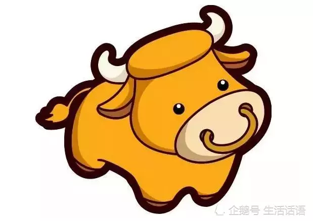 生肖牛女的朱紫屬相：年屬牛是什麼命和哪個命最相配