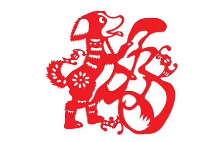 82年屬狗行大運是哪一年：算算82年屬狗的人一生的運程