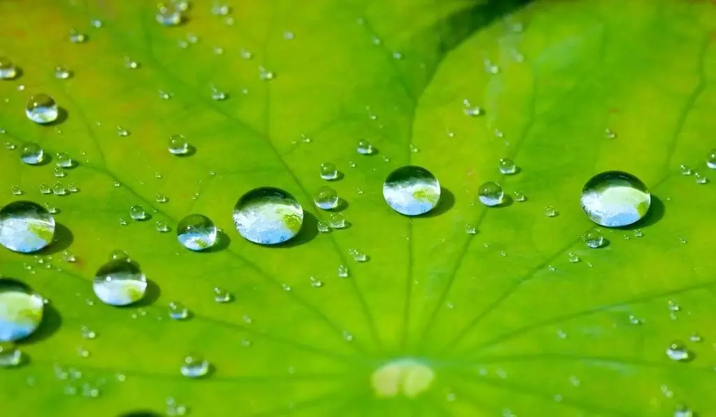 人往高處走水往低處流是什麼屬相：“人往高處走，水往低處流”在地理是指什麼？