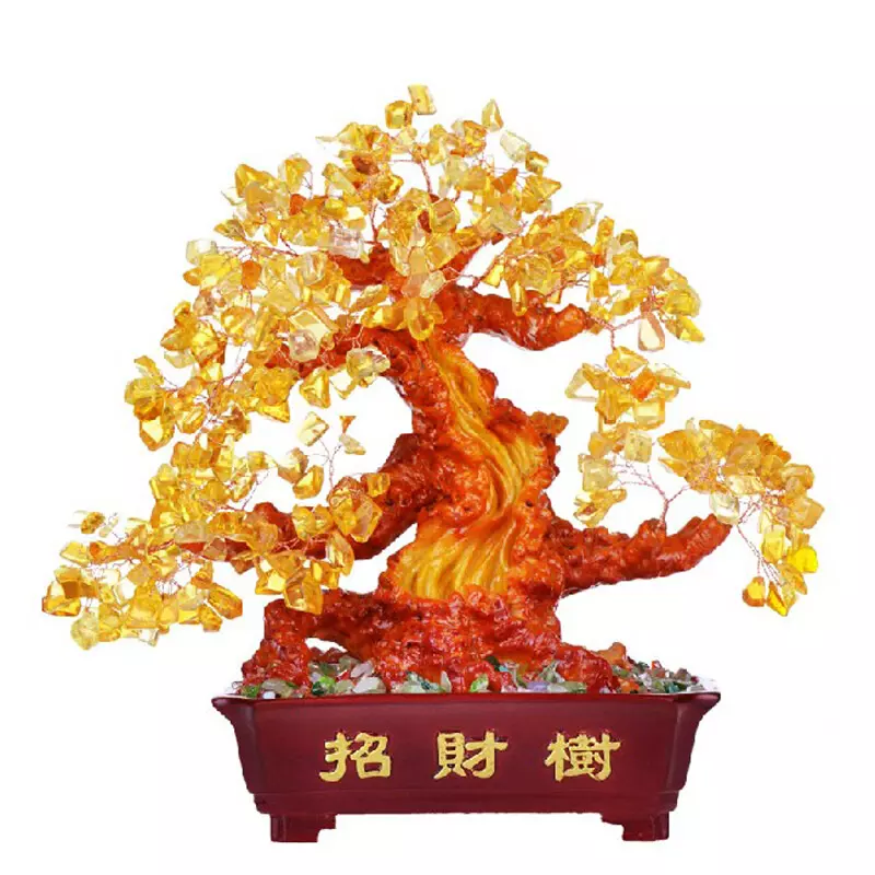 1、真正的招財樹圖片:發財樹有幾種，求圖片