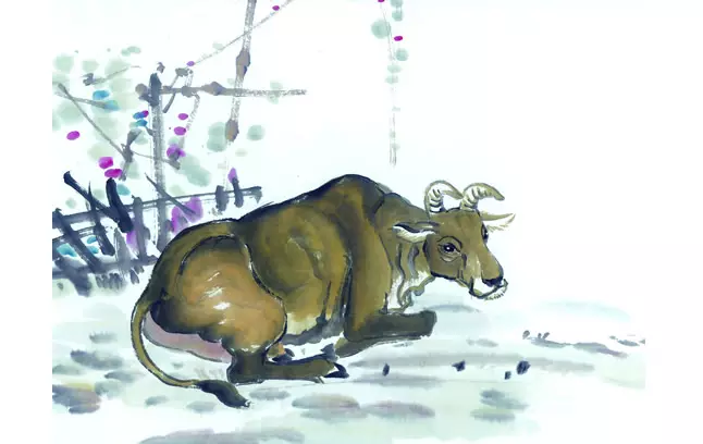 年屬牛人的一生：年的屬牛的命怎麼樣？
