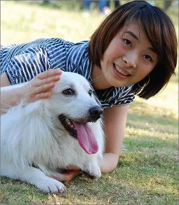 屬相狗的人適合養貓嗎：什麼屬相的人最適合養貓咪，什麼屬相的人最相宜養貓