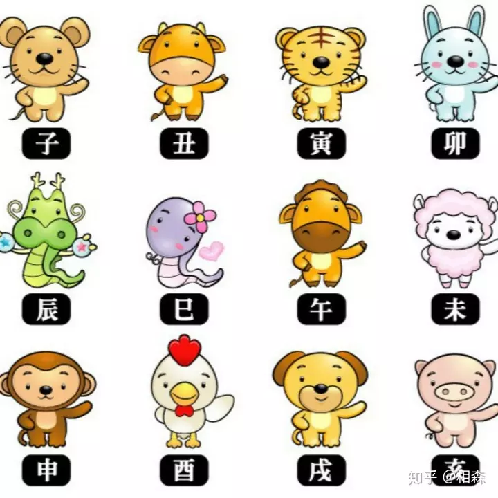 子丑寅卯分別的屬相是什麼：子丑寅卯辰巳午未申酉戌亥為什麼代表動物？