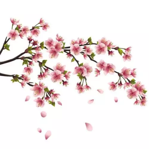 3、八字如何查桃花:八字怎麼算桃花 八字帶桃花怎麼查