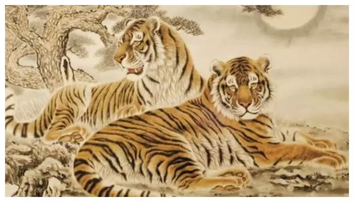2、虎年出生今年多少歲:年出生人今年多大了？虛歲多少？周歲多少？