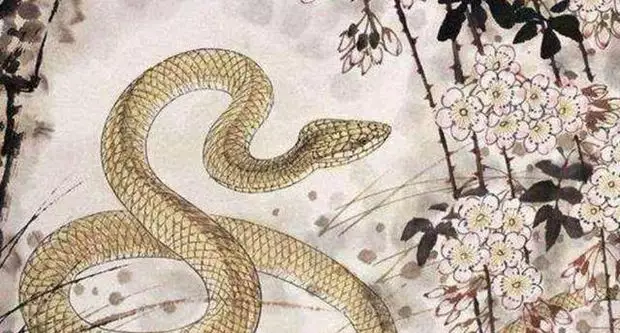2、屬蛇註定的緣分是誰:屬蛇註定的緣分是誰