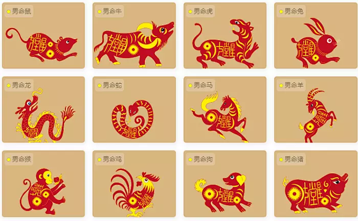3、虎寶寶忌什麼屬相父母:爸媽都屬虎,生個什麼屬相的寶寶?