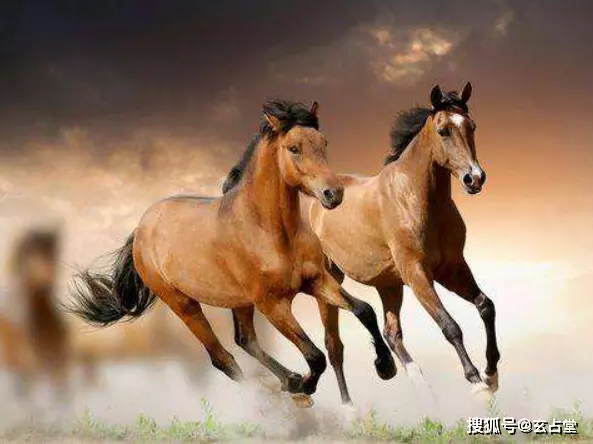 2、年屬馬啥命:年屬馬的和屬什麼的最相配？