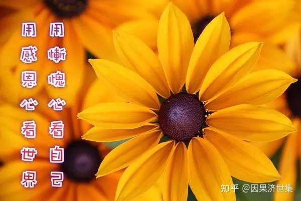 1、有二婚命的人前世:為什麼有的人早年喪父，從報應看前世他做了什麼？