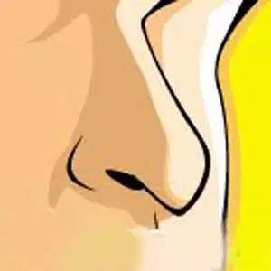 3、免費測算另一半長相圖:提供生辰八字，真的能算出另一半的長相嗎？