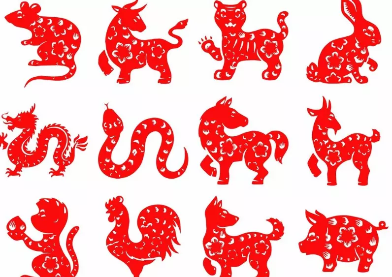 7、十二生肖婚配大全猴與雞:屬雞和屬猴相配嗎