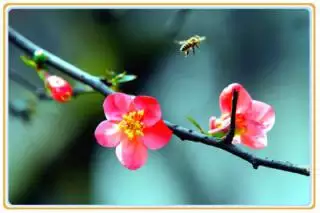 3、測正緣桃花什麼時候出現:：正緣什麼時候會出現？
