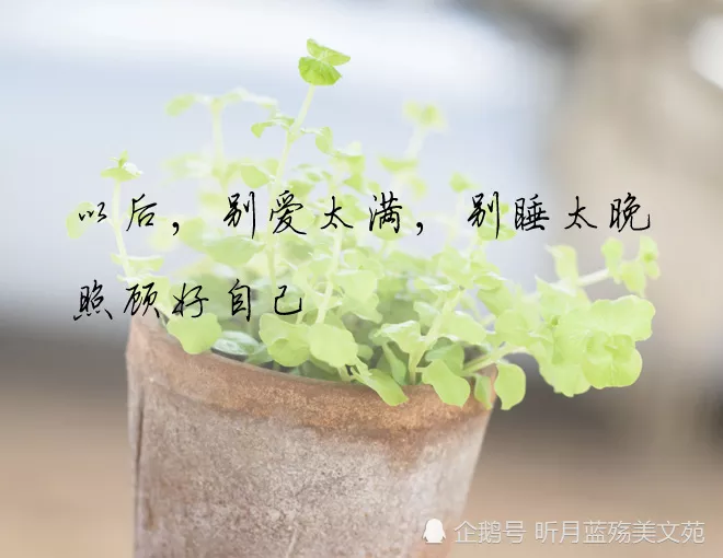 5、看看兩個人有沒有緣分:怎樣才能知道兩個人到底有沒有緣分