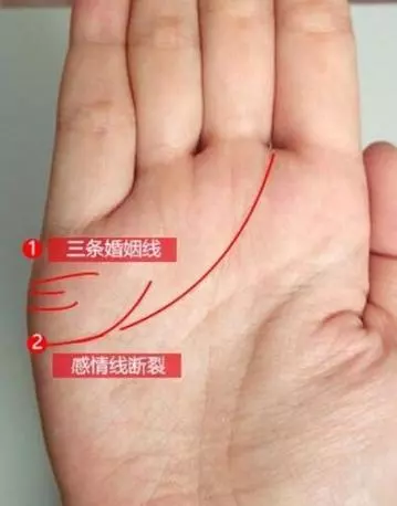 4、怎麼看婚姻線是否二婚:怎麼看婚姻線？我的婚姻怎麼樣？