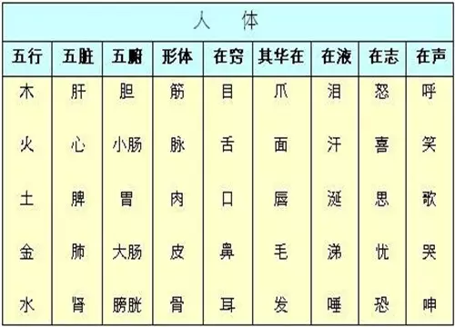 今天屬什麼生肖與什麼相衝：生肖相衝表