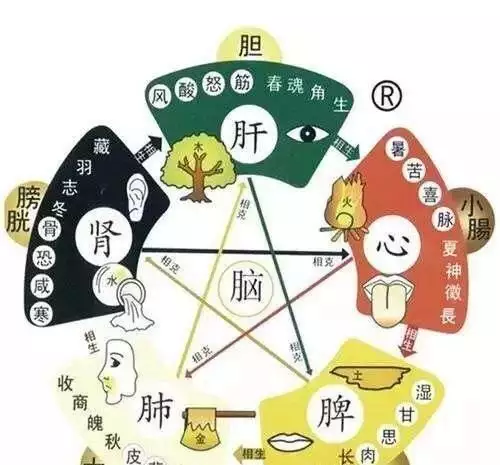 1、五行五臟六腑相生相剋順口溜:五行相生相剋口訣