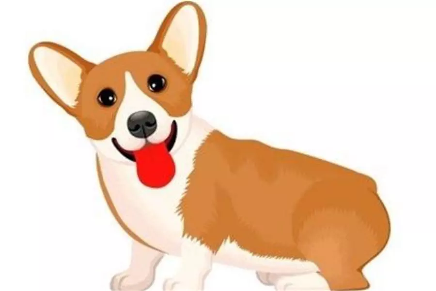 2、犬男鼠女屬相婚配:屬鼠的和屬狗的配嗎？女屬鼠和男屬狗配嗎？