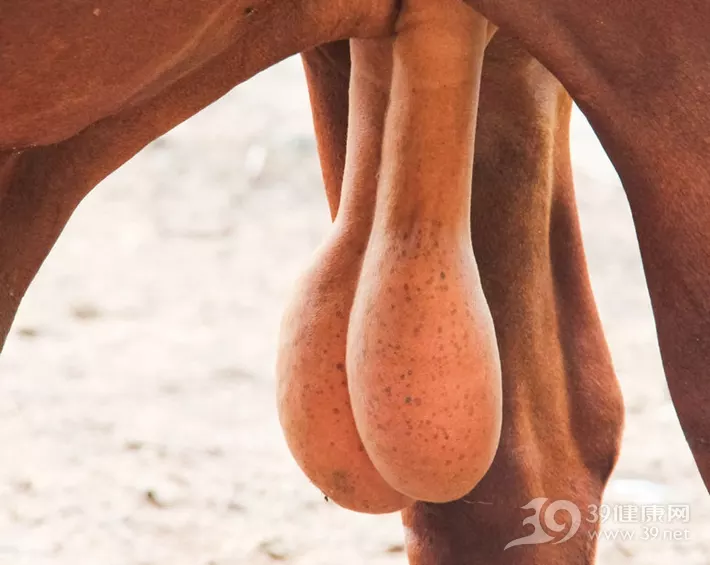 7、三十歲男人性功能一個月能幾次:35歲的男人一個月幾次