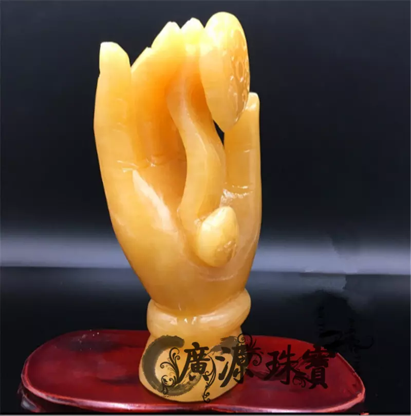 2、招財手的寓意是什麼:招財手怎麼養
