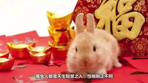 4、屬兔和屬鼠的合不合:屬兔和屬鼠相配嗎