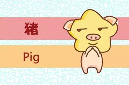 6、年屬豬的是什麼命:年是什麼命