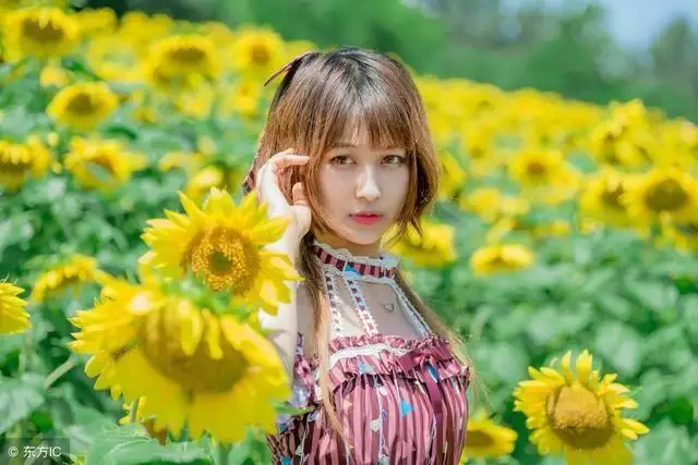 目前女人命最好命的屬相：送女人本命好，還是她的屬相好，求解