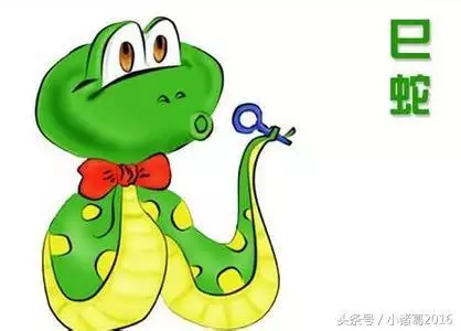3、32歲屬蛇與38歲屬鼠婚姻合不合:屬蛇與屬鼠是否相配